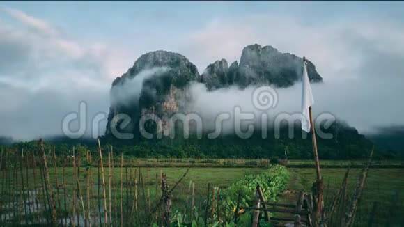 丛林老挝山自然云林视频的预览图