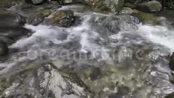 小溪流过山谷视频的预览图