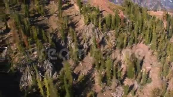 带死树的森林和山脉的空中拍摄视频的预览图