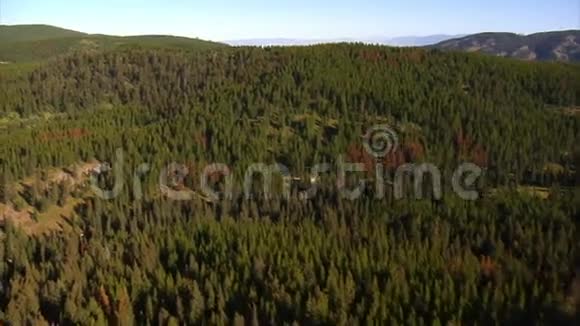 带死树的森林和山脉的空中拍摄视频的预览图
