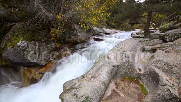 在西班牙塞戈维亚的一个雨天在博卡德尔阿斯诺自然公园的埃雷斯马河中流动的水视频的预览图