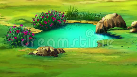 小粉猪靠近水坑视频的预览图