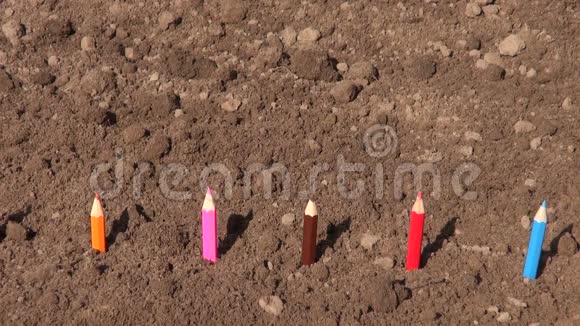 春植土壤彩色铅笔理念视频的预览图