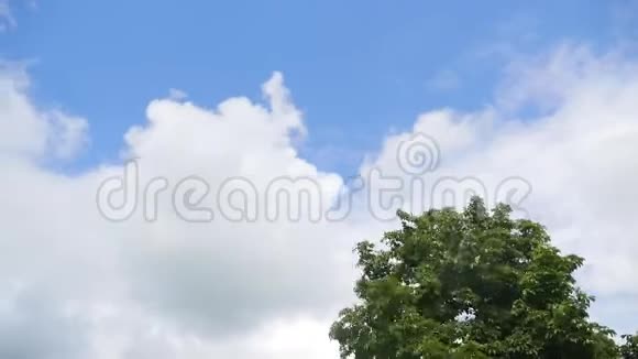 蓝天上的树和云视频的预览图