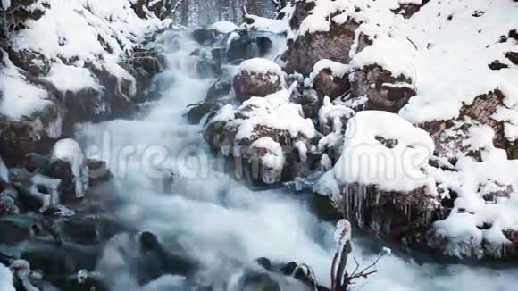 冰冻溪流中的水冬天森林里的雪河长期接触视频的预览图