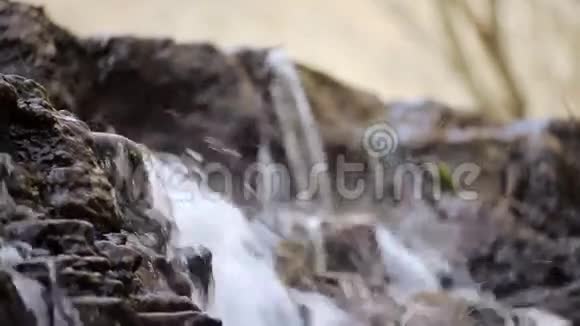 秋林中的小溪和瀑布视频的预览图