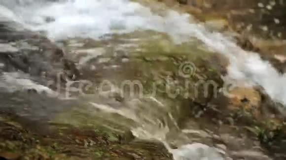 秋林中的小溪和瀑布视频的预览图