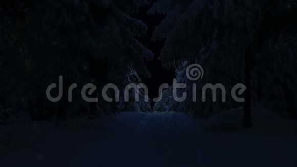 圣诞老人冬季森林灯视频的预览图