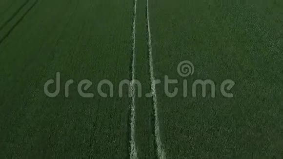 小麦飞溅空中飞行录像视频的预览图