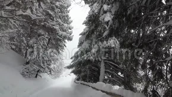 森林山上布满白雪的胡同视频的预览图
