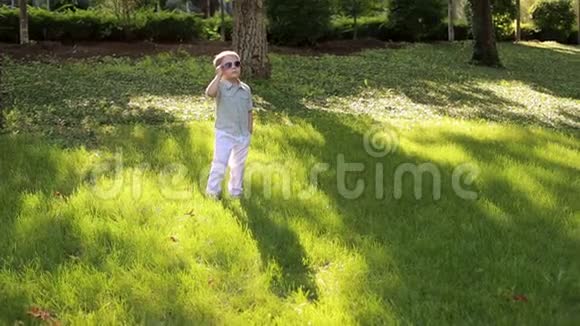 公园里一个戴太阳镜的小男孩的肖像视频的预览图