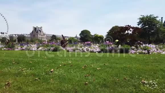 巴黎杜勒里花园视频的预览图