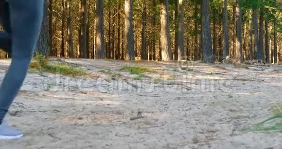 女运动员在森林慢跑4k视频的预览图