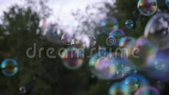夏天公园里草地上的肥皂泡视频的预览图