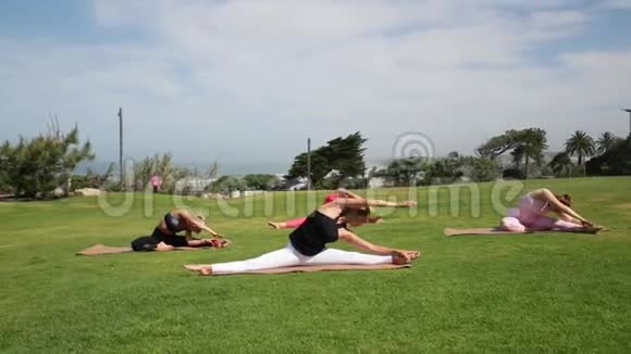 一群年轻女性白天在海边练习瑜伽绿草视频的预览图