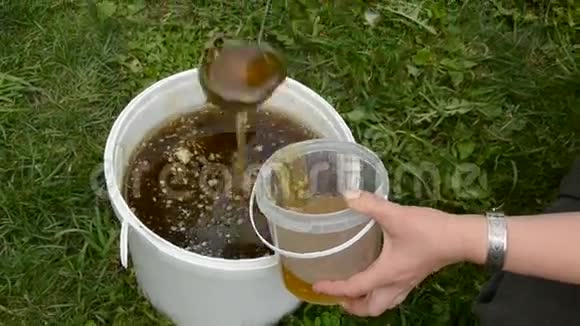 夏天的蜂蜜在桶里女人手里视频的预览图