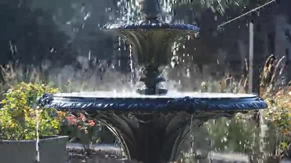 华丽的分层花园喷泉视频的预览图