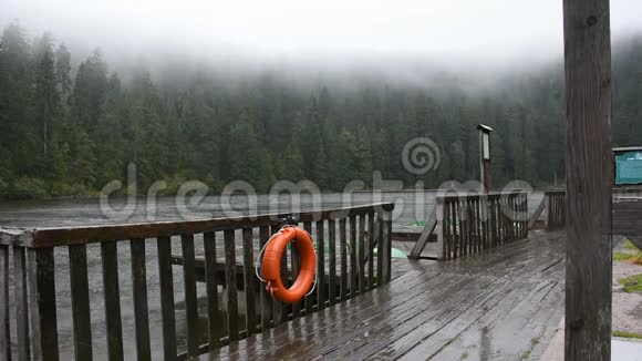 黑森林或施瓦茨瓦尔德降雨时Mummelsee湖水的运动视频的预览图