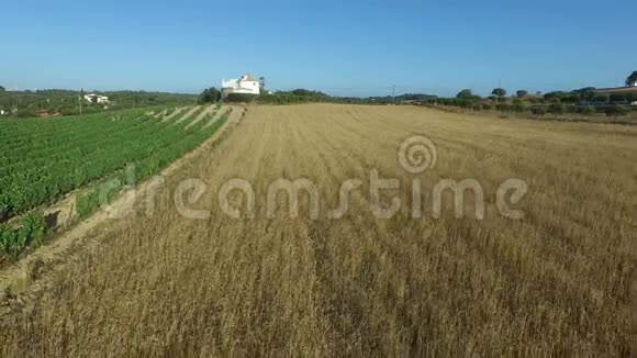 葡萄牙农村的小麦和酒田视频的预览图