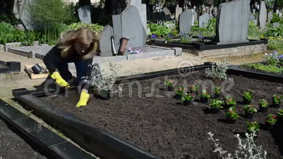 少女植物墓地视频的预览图