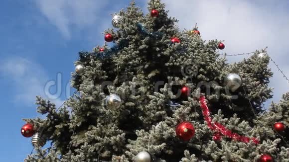 户外装饰圣诞树视频的预览图