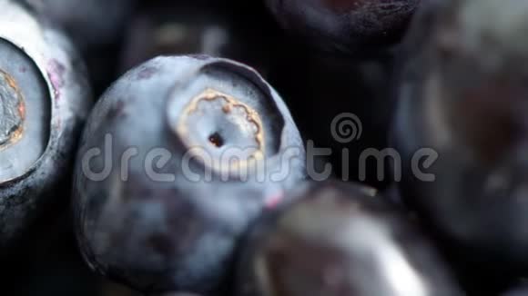 浆果蓝莓特写视频的预览图