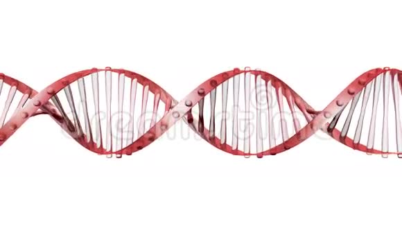 玻璃DNA视频的预览图