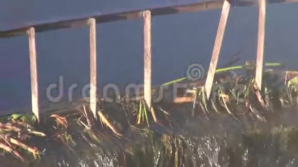 江湖大坝和晨雾视频的预览图