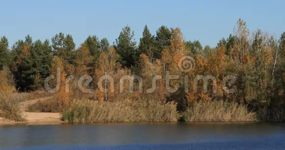 美丽的秋色湖景视频的预览图