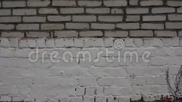 白色砖墙斯坦迪卡姆视频的预览图