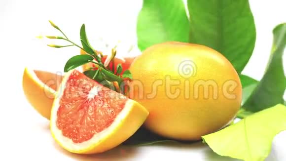 葡萄柚白色背景视频的预览图
