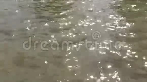 河流背景视频的预览图