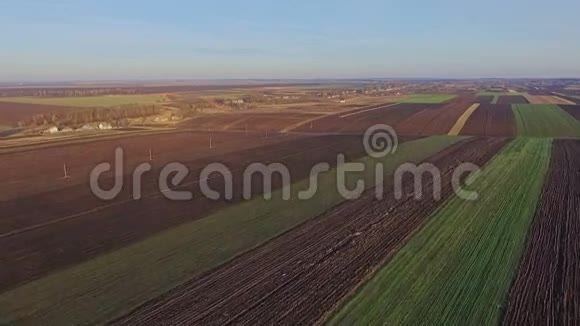 乌克兰田野的空中景色视频的预览图
