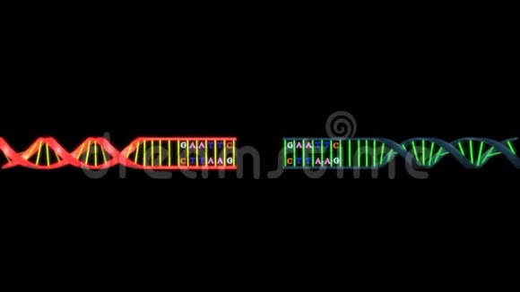 重组DNA视频的预览图