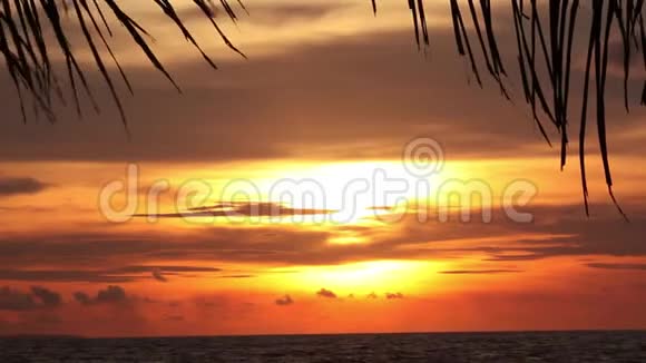 令人惊叹的热带海滩日落视频的预览图