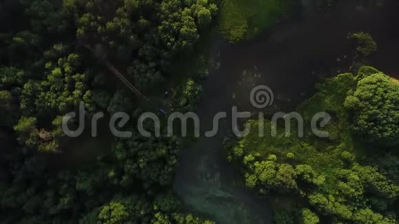 湖上有绿松石水和绿树河流森林湖泊景观视频的预览图
