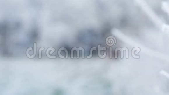 冬季泛舟运动中结霜的树枝视频的预览图