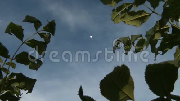 漂浮在空中的白色热气球视频的预览图