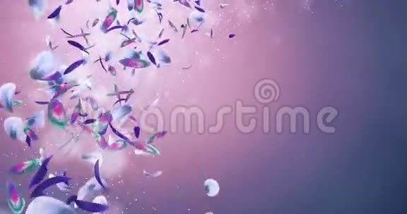 飞扬浪漫紫绿色蓝色兰花花瓣占位符环4k视频的预览图