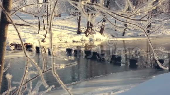 公园里的冬季河流冬季仙境冬季公园冰冻河视频的预览图