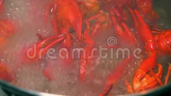 煮熟的小龙虾视频的预览图