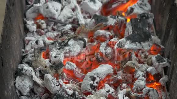 在布拉齐尔燃烧木材和煤准备烧烤串和烤架视频的预览图