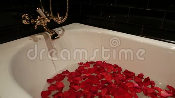 水和红玫瑰花瓣的黑浴池视频的预览图