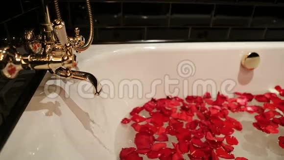 水和红玫瑰花瓣的黑浴池视频的预览图