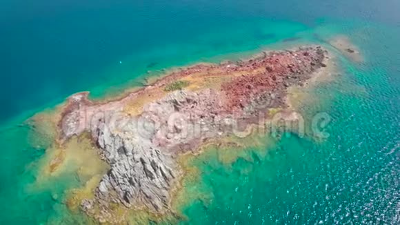 未居住的处女岛是由火山活动造成的野生小海鸥屋视频的预览图