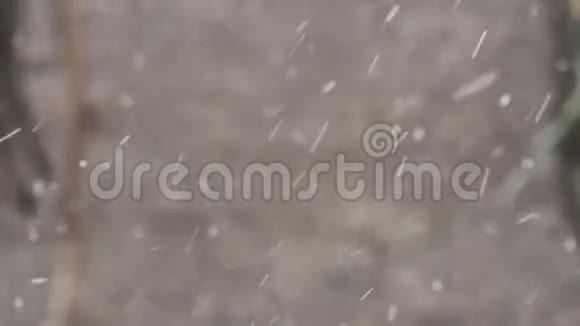 雪下得很快抽象的背景冬天的天气视频的预览图