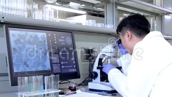在实验室工作的科学家亚洲医生做医学研究实验室工具显微镜试管设备视频的预览图