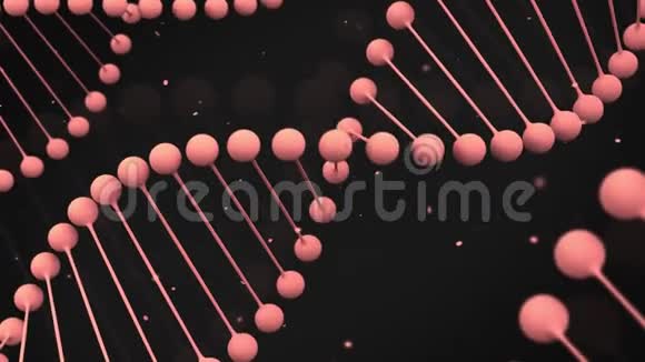 黑色背景DNA链马特红模型视频的预览图