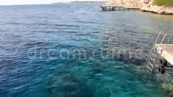 豪华酒店靠近海滩的珊瑚礁视频的预览图