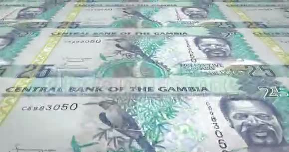 冈比亚二十五张赌币现金循环视频的预览图